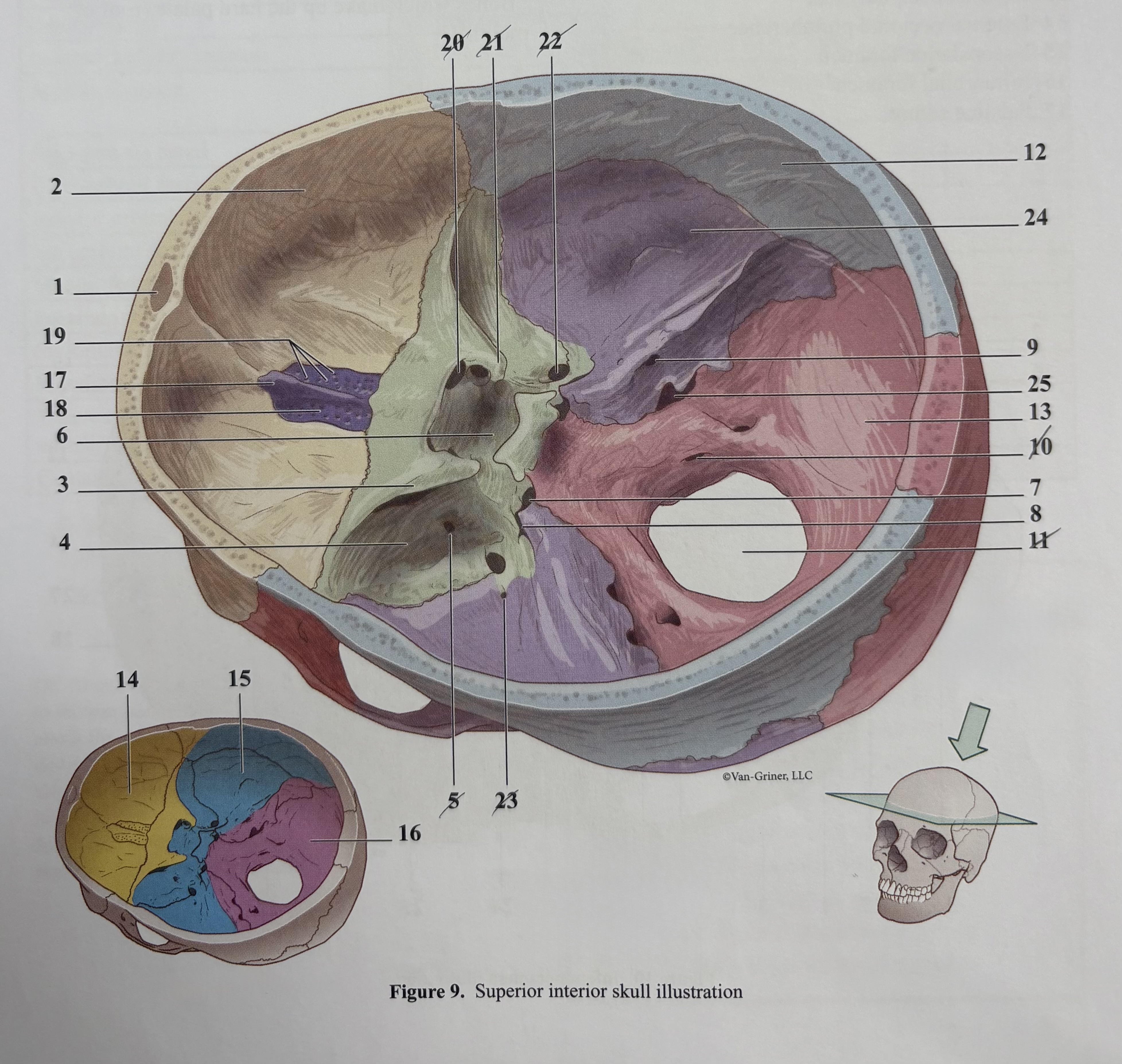 <p>23?</p>