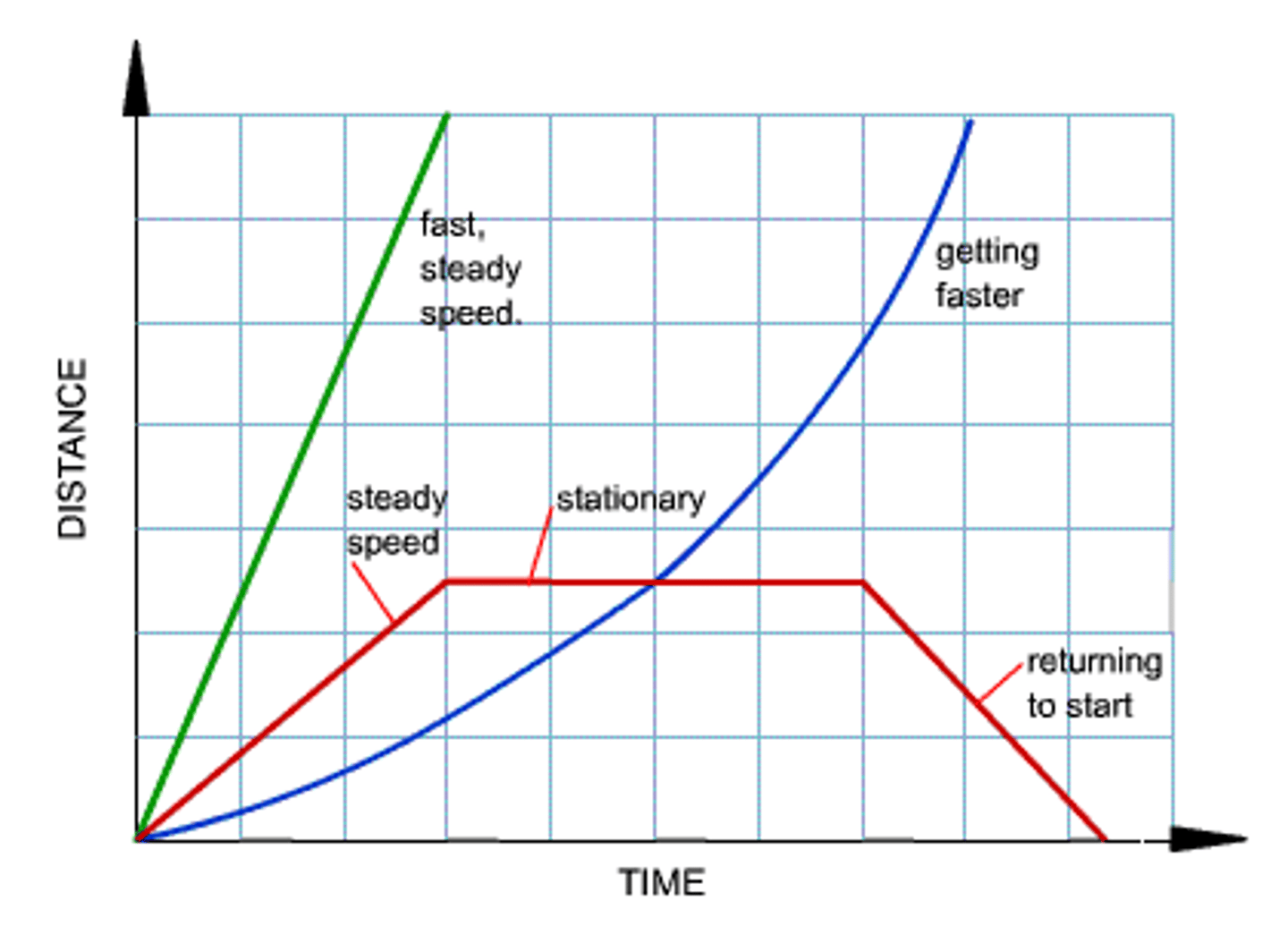 <p>Gradient or the slope gives the speed.</p><p>Flat line means stationary, straight line means constant speed, curved line means accelerating</p>