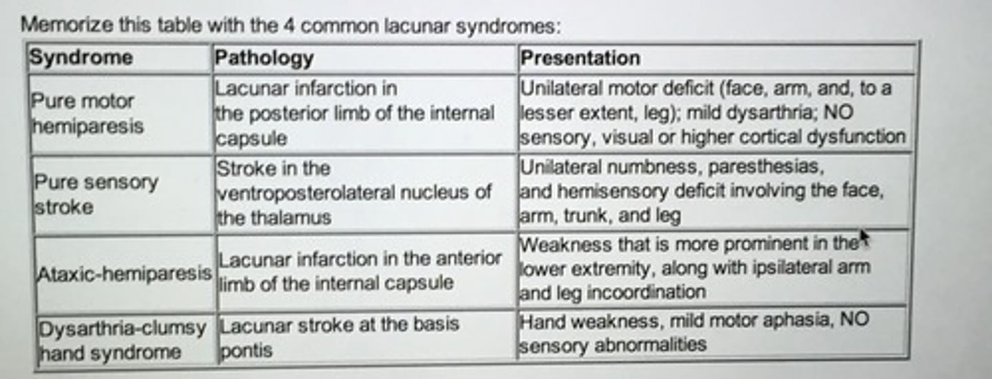 <p>#1 Hypertension</p>