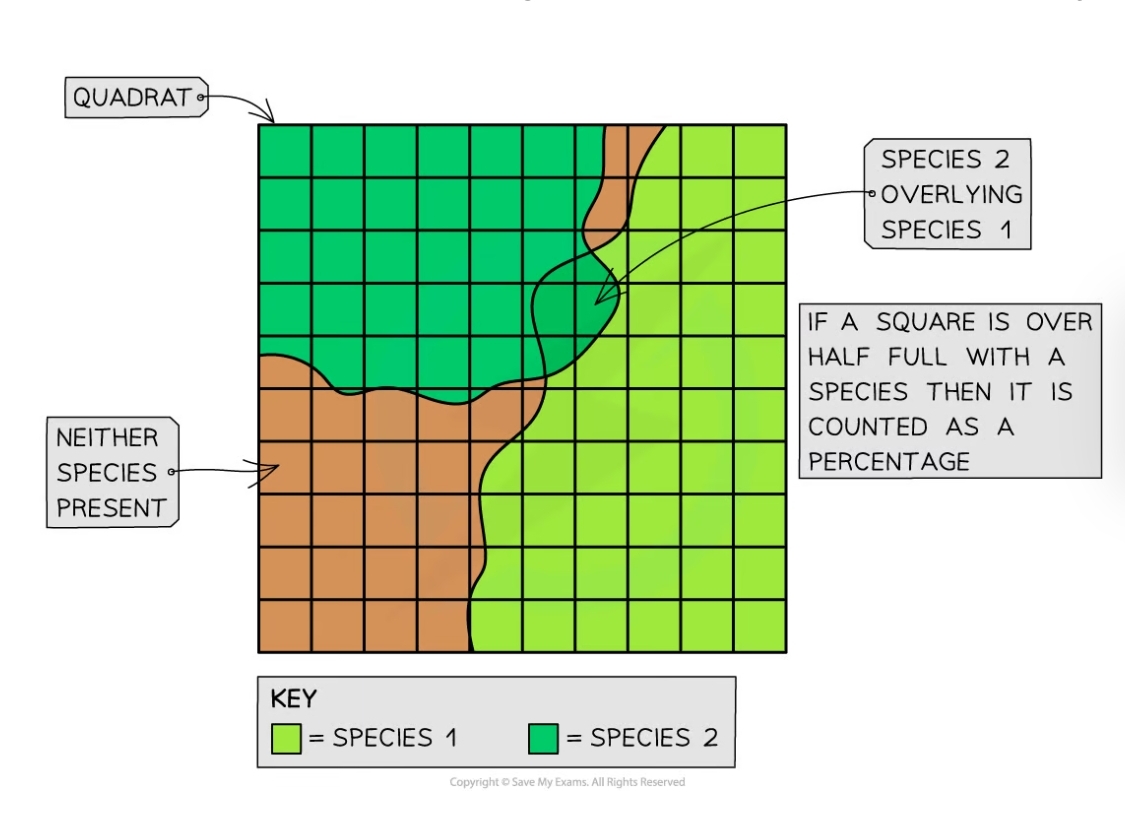 * Presence or absence of a species
* Species frequency; how many individuals are in the quadrat
* Species abundance; measured on a scale called the ACFOR 
* Percentage cover; the percentage of the quadrat covered by a species
  * Quadrats can be divided up into smaller squares to allow percentage cover to be assessed more easily