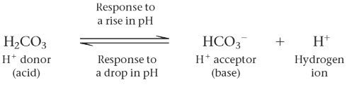 <p>Buffer</p>
