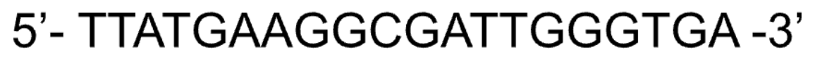 <p>If this is the DNA strand, what will the protein? How do you go from a code to a protein?</p>