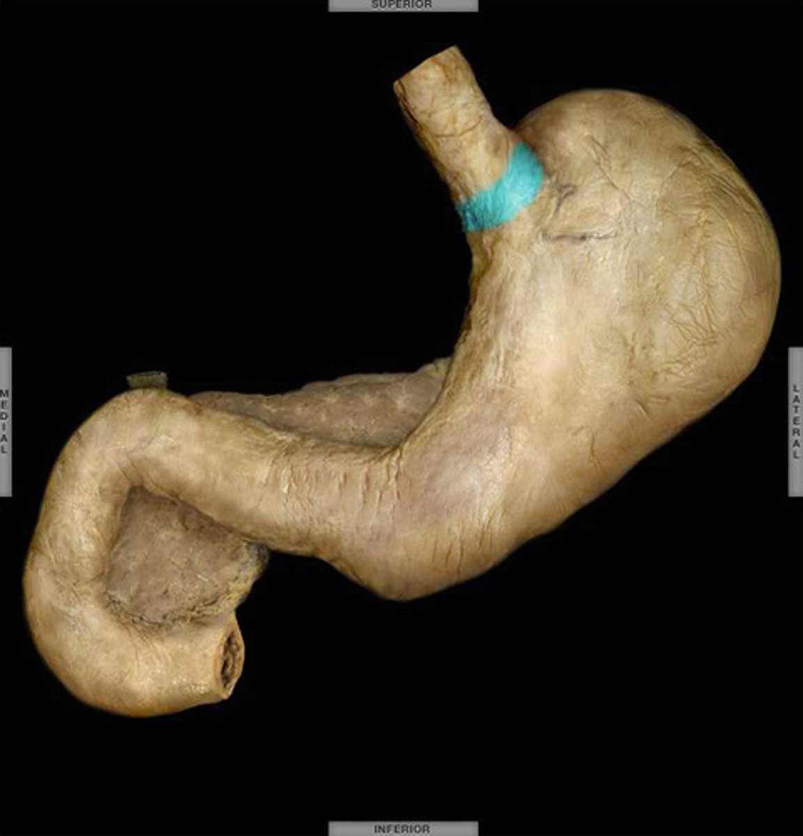 <p>What is this?</p>