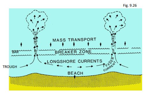 <p>complex circulation cells develop in the presence of waves at the shoreline</p>