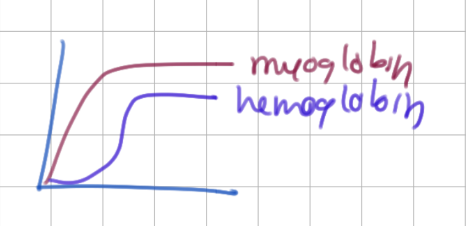 <p>Mb (due to non-cooperativity)</p>