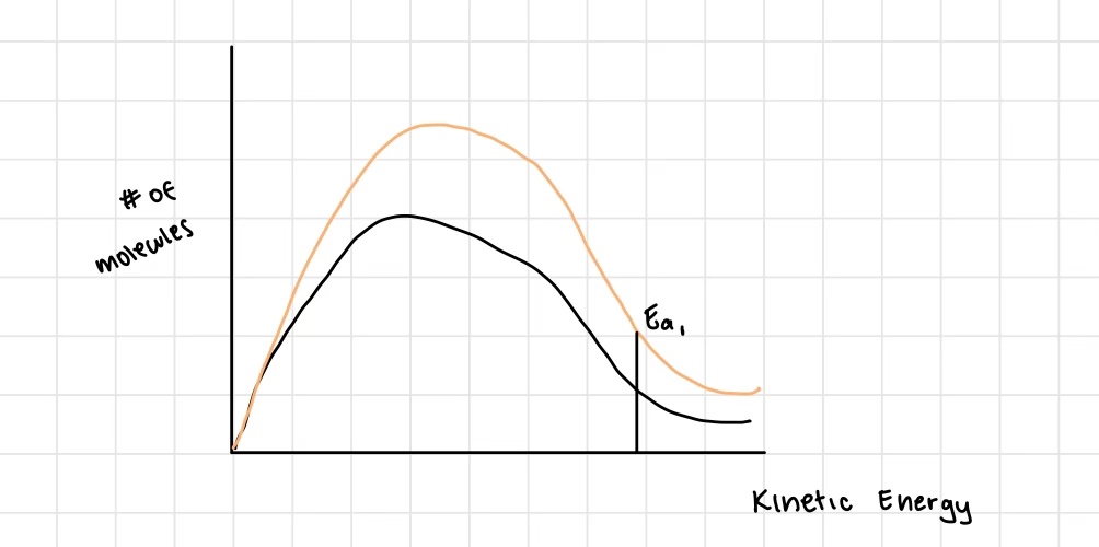 <ul><li><p>if the initial concentration of a reactant is increased, then the reaction rate generally increases</p><ul><li><p>increased number of reactant molecules per volume are more likely to collide, increasing rate</p></li></ul></li><li><p>As surface area increases, the rate of reaction should also increase. </p><ul><li><p>For ex: dust and grain silo explosions</p></li><li><p>Mostly important in heterogenous reactions</p></li></ul></li></ul>