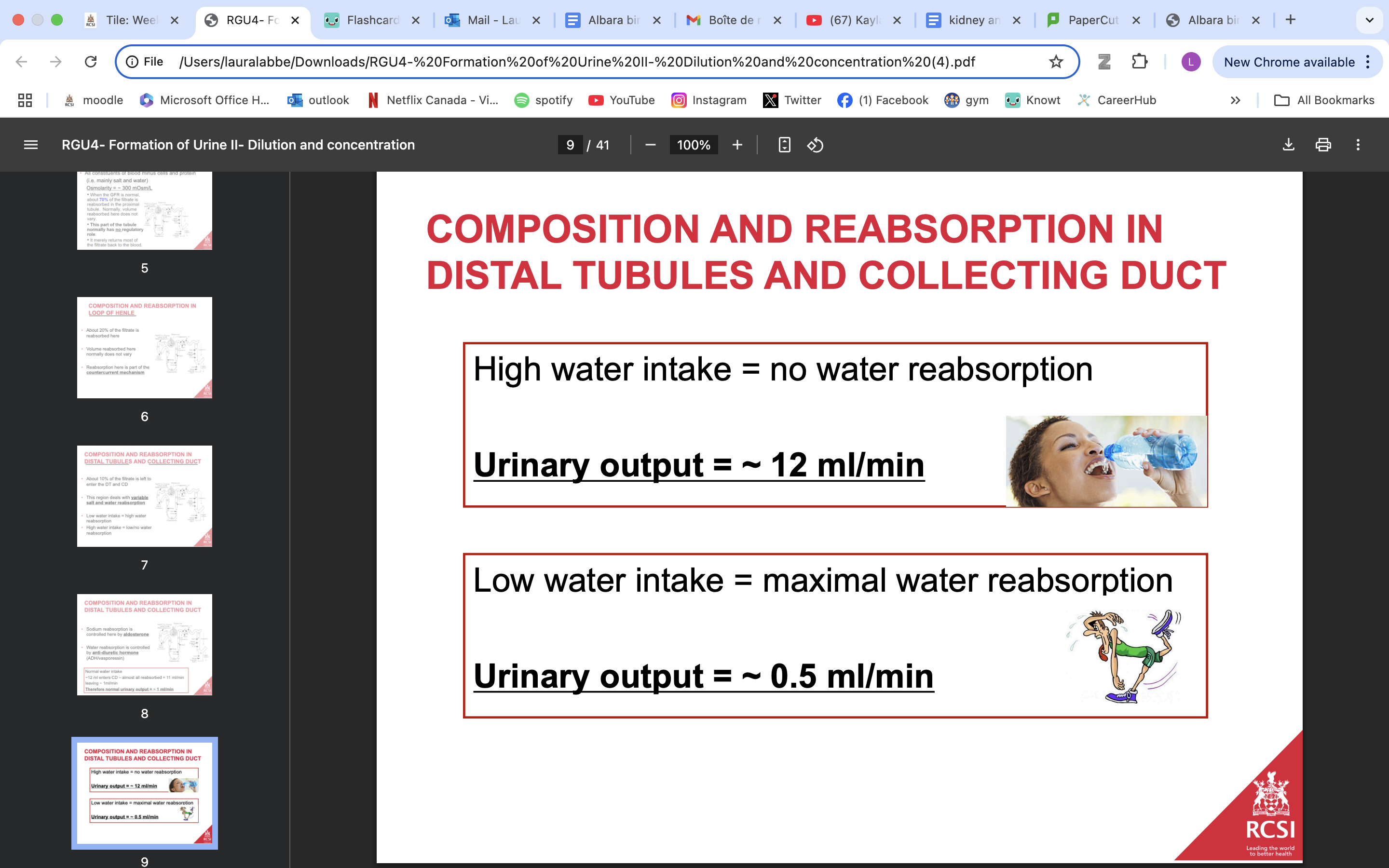 <p>80 percent of filtered water has been recovered by the end of the LoH.</p><ul><li><p>36 L of fitrate enters the DCT</p></li><li><p>another 10–15% is recovered here</p></li></ul><p></p><p><strong>Early distal tubule - impermeable to water</strong></p><ul><li><p>In the early DCT, Na+ enters via apical Na+ -Cl− cotransporters (NCC) - cotransported</p></li><li><p>Cl− leaves passively via basolateral channels.</p></li><li><p>Early DCT is also important for active transcellular Ca2+ transport - Regulated by parathyroid hormone</p></li></ul><p></p><p><strong>The late distal tubule has water channels and its permeability is regulated by antidiuretic hormone (ADH).</strong></p><ul><li><p>ADH also regulates urea absorption in the collecting duct</p><ul><li><p>Combined effects of aldosterone and ADH on ENaC expression, urea transport and aquaporin expression fine tunes the <u>ability of the kidneys to produce concentrated or dilute urine depending on the body’s needs.</u></p></li></ul></li></ul><p></p><p></p><p><strong>• Low water intake</strong> = high water reabsorption</p><p><strong>High water intake</strong> = low/no water reabsorption</p><p></p>