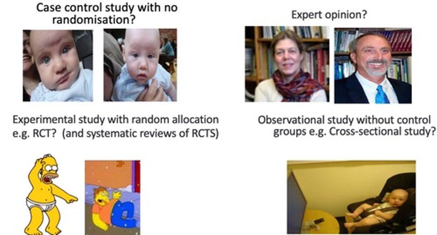 <p>Experimental studies comparing intervention effects.</p>