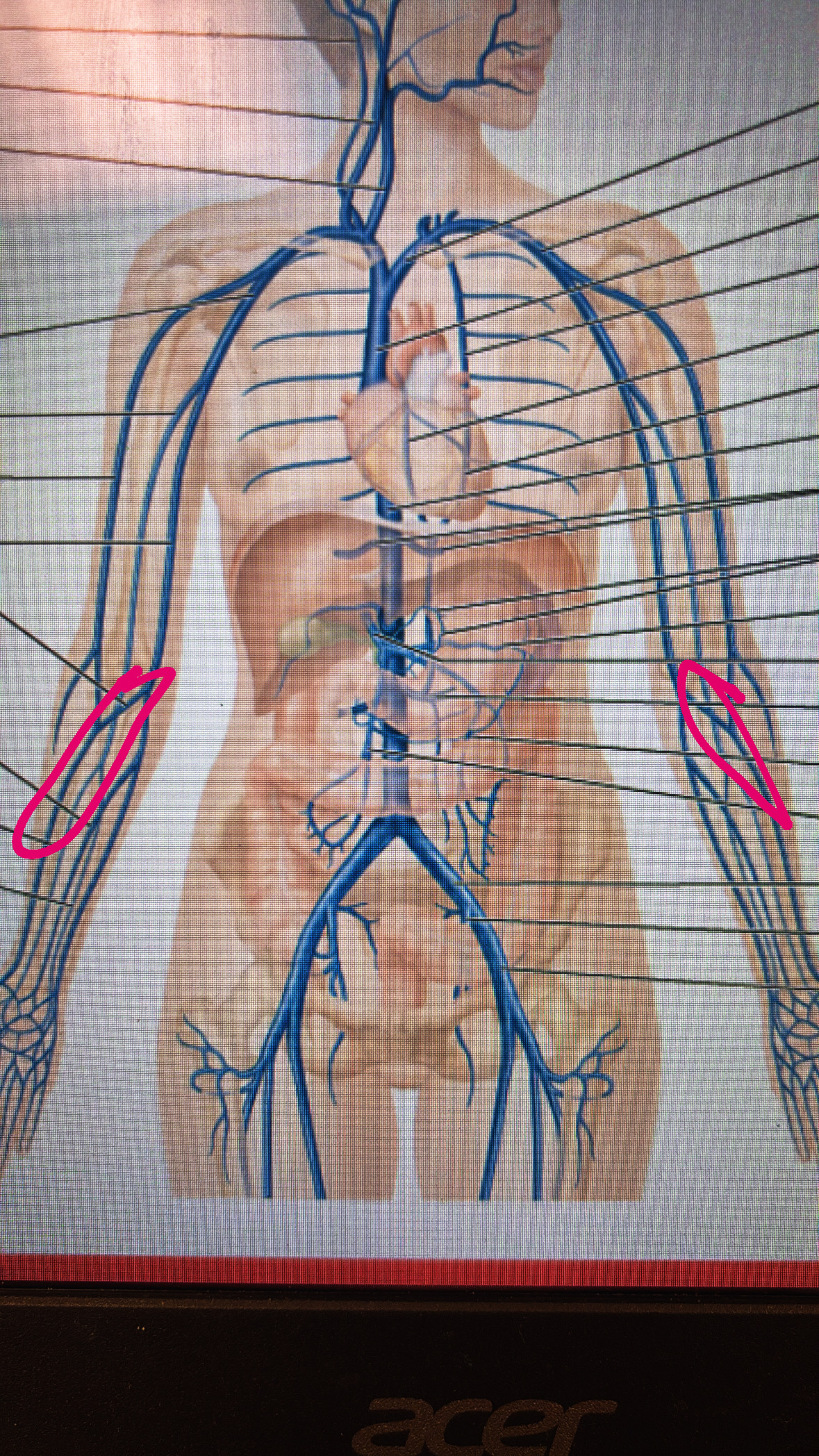 knowt flashcard image