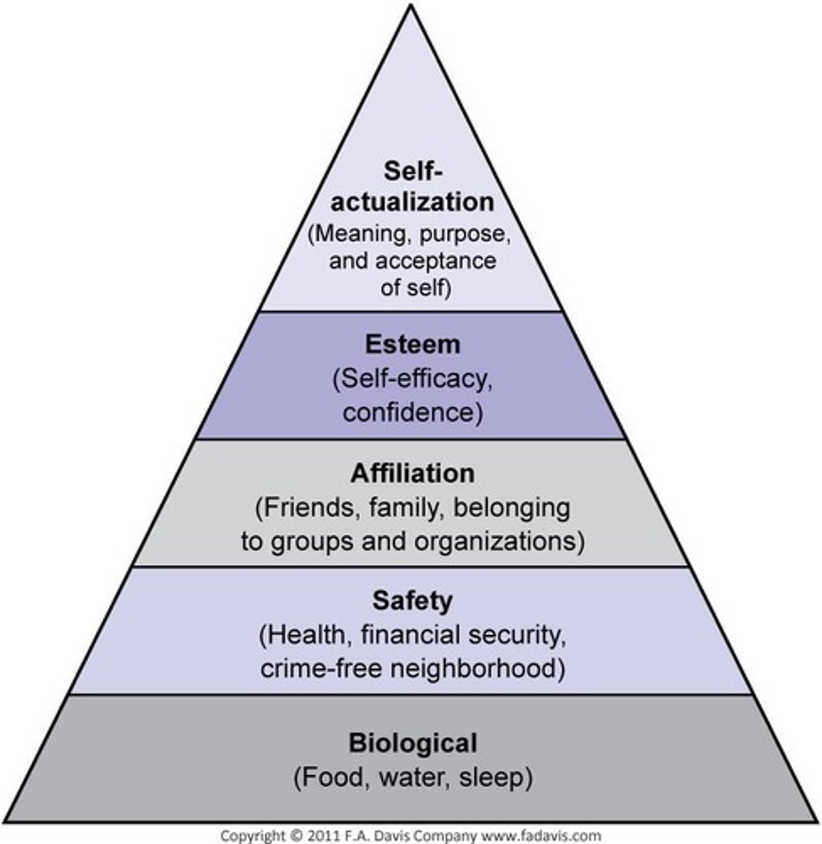 <p>It is a psychological theory that categorizes human needs into a hierarchy, where basic needs must be met before higher-level needs can be addressed.</p>