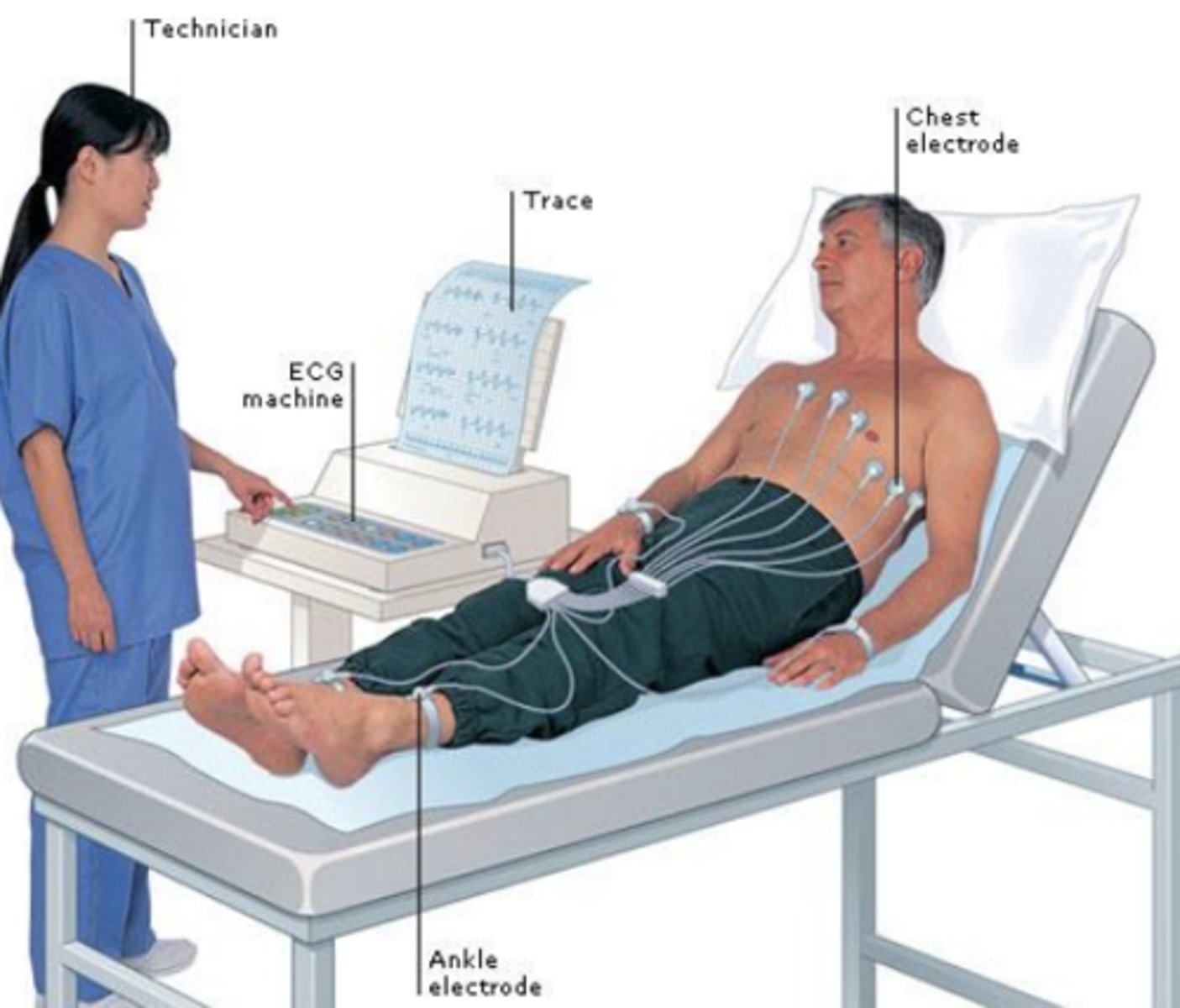 <p>What type of diagnostic test is being performed?</p>
