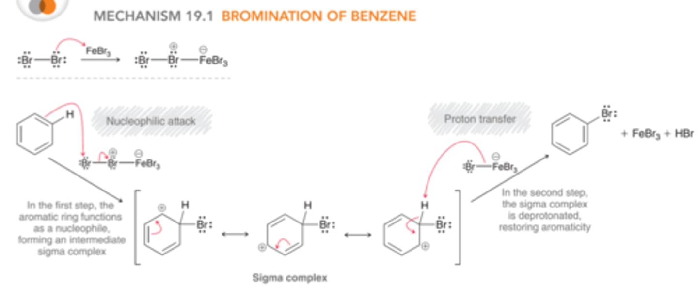<p>1st step: The aromatic ring functions as a nucleophile &amp; attacks the electrophilic agent, generating a positively charged intermediate called a sigma complex which is resonance stabilized.</p><p>2nd step: The sigma complex is deprotonated, restoring aromaticity &amp; regenerating FeBr3 (the catalyst which is not consumed)</p>