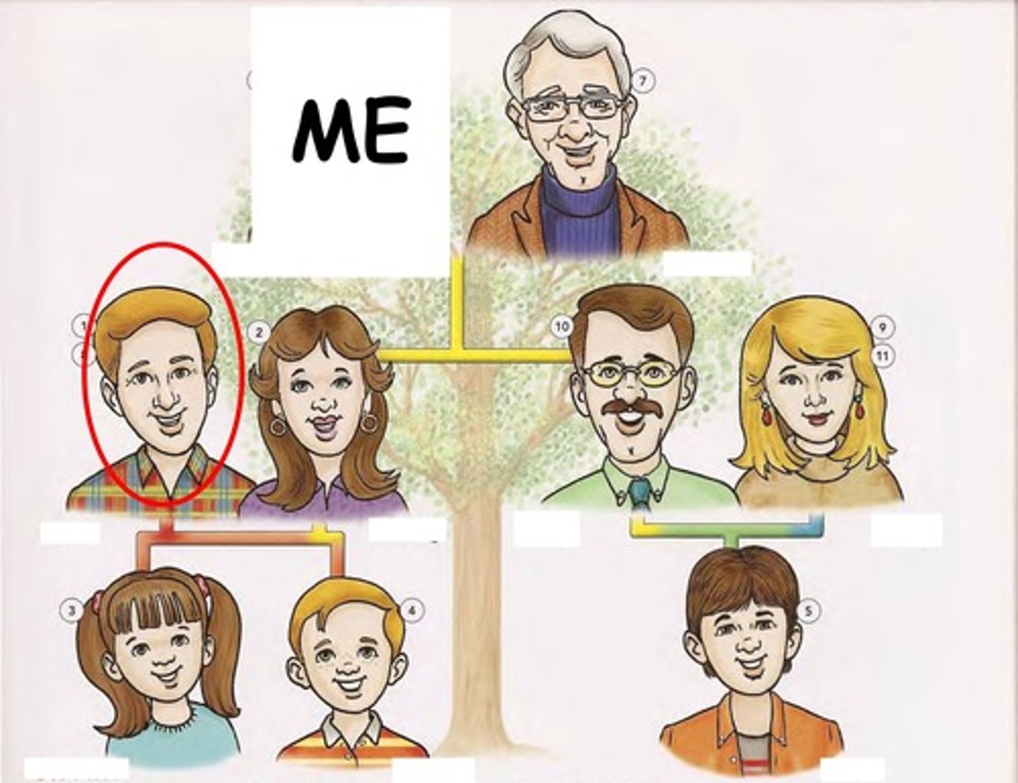 knowt flashcard image