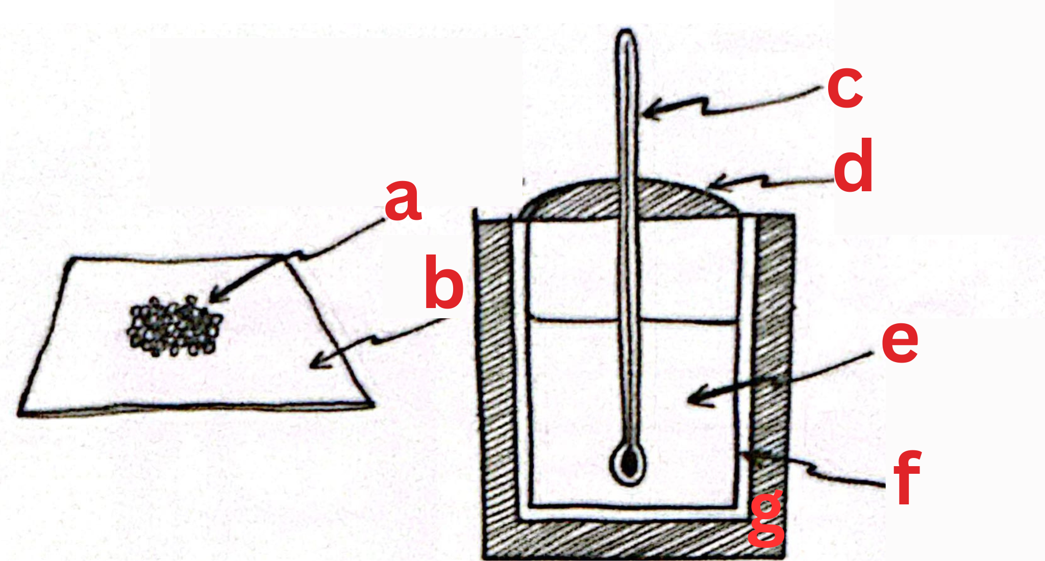 <p><span style="color: rgb(0, 0, 0);"><span>Label This Diagram</span></span></p>