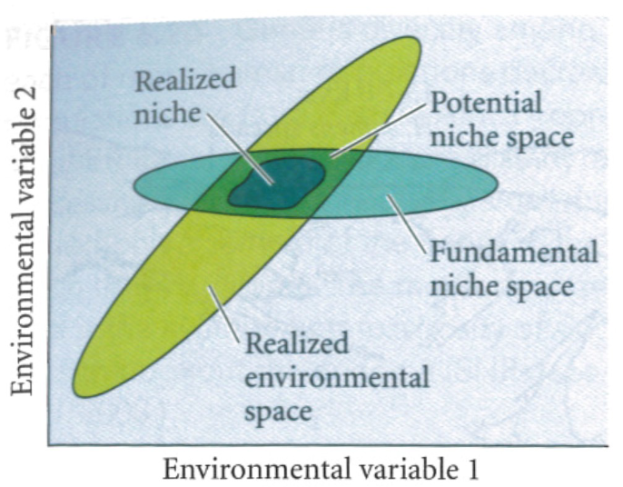 <p>There are components of a niche. The realized environmental space is the range that the environment had. The fundamental niche space is the range that a species can live in. Where these two overlap is the potential niche space. Within that potential is the realized niche, the area within the potential space that the organism actually lives</p>