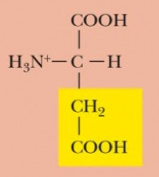 <p>Asp, D, Acidic (Hydrophilic) (R-group pKa = 3.9)</p>