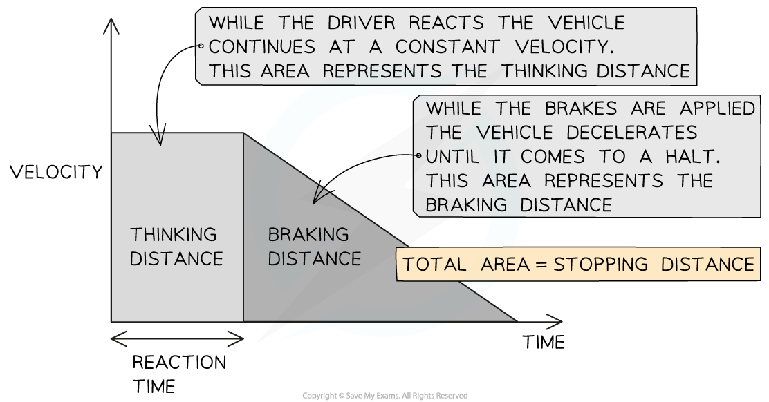 <ul><li><p>initial line is the thinking distance</p></li><li><p>slopping line is the braking distance</p></li><li><p>total graph is the stopping distance</p></li></ul><p></p>