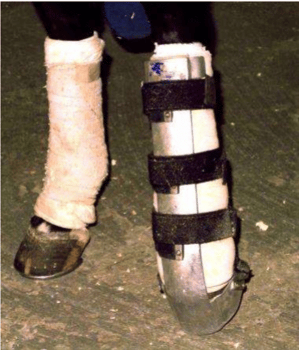 <p>-aluminium and velcro straps</p><p>-dorsal splint</p>