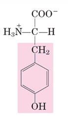 <p>Y</p>