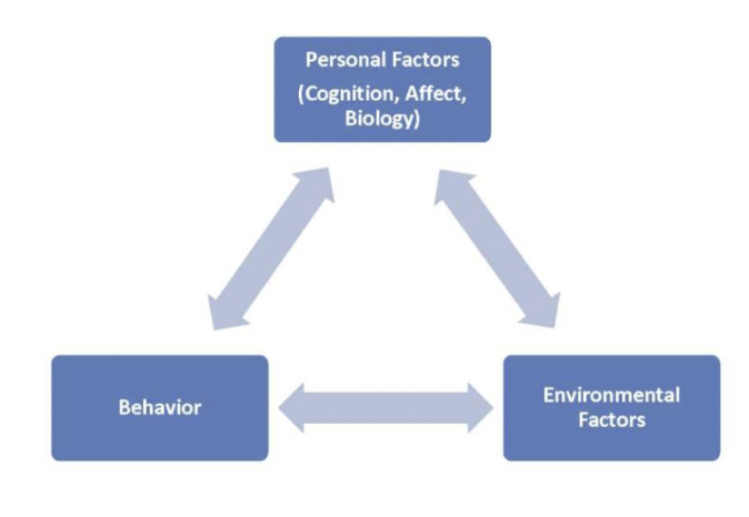 <ul><li><p>an individual’s behaviour (ie. actions, words), personal factors (ie. beliefs, attitudes, self efficacy), and environment (ie. social stimuli, social support, physical surroundings) constantly reciprocally influence each other</p></li></ul><p></p>