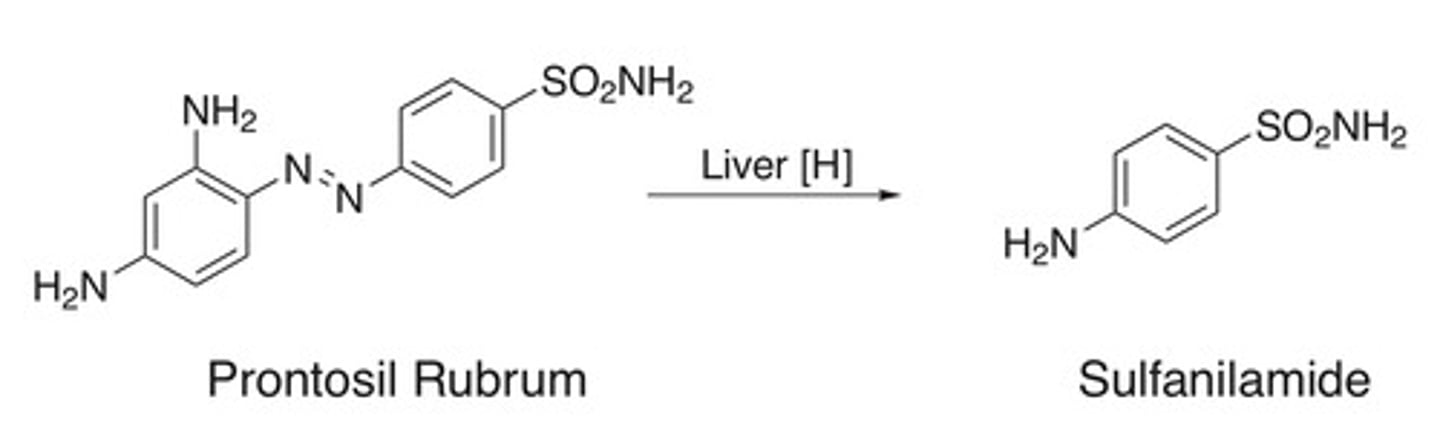 <p>Prontosil</p><p>(Brilliant Red, Azo dye prodrug)</p>