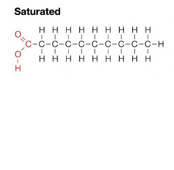 <p>all single bonds between carbons; solid at room temp; unhealthy fat</p>