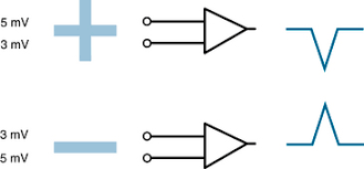 <p>• When two electrodes are attached to input 1 and input 2 of an amplifier, the voltage difference is reflected by a “pen” deflection, either up, down, or not at all.</p><p>• EEG convention is what dictates which way the pen deflects.</p>