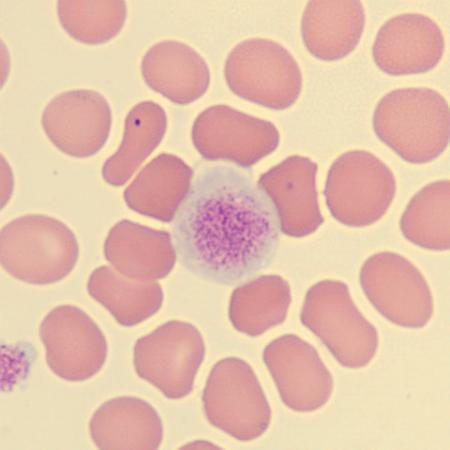 <p>What is this?</p>