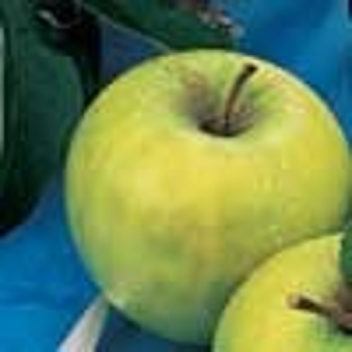 <p>(n) vỏ mỏng</p>