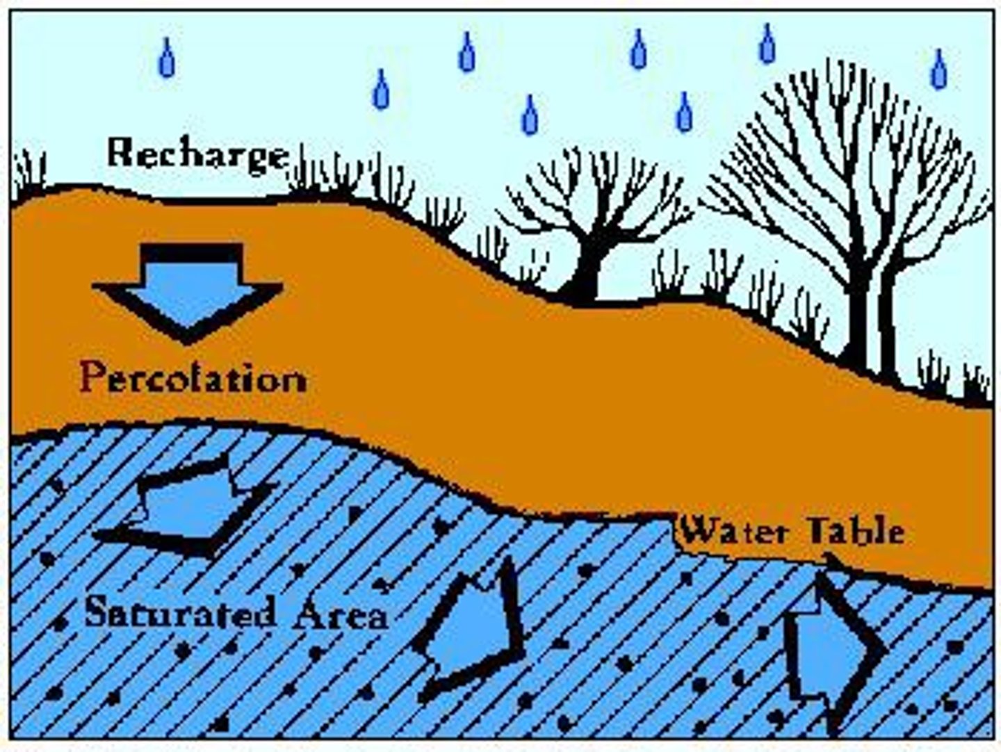 <p>the process by which water on the ground surface enters the soil</p>
