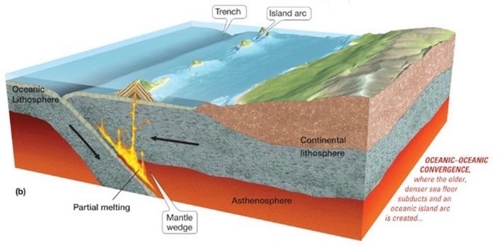 <ul><li><p>Ocean crust subduction beneath ocean crust</p></li><li><p>Ocean volcanic island arc forms</p></li></ul><p>more dense oceanic crust subduction beneath less dense oceanic crust</p><p>deep trench forms at collision zone</p><p>volcanic island arc forms on overriding plate</p>