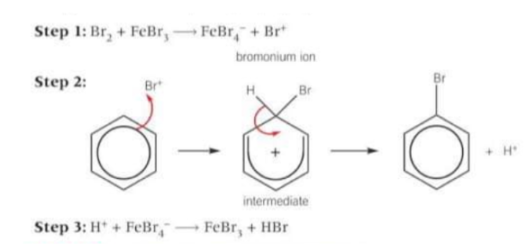 <p>The bromonium ion accepts a pair of electrons from the benzene ring to form a dative covalent bond. The organic intermediate is unstable and breaks down, forming the organic product, bromobenzene and a H<sup>+</sup> ion. The H<sup>+</sup> ion formed reacts with FeBr<sup>4-</sup> to regenerate the FeBr<sub>3</sub> catalyst.</p>