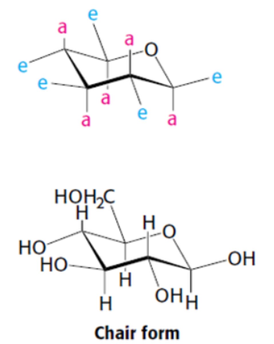 <p>substituents on C ring atoms have 2 orientations: axial or equatorial</p>