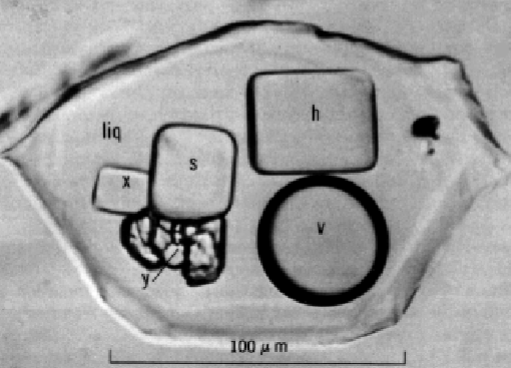 <p><span style="color: #000000">Evidence for the existence of a metamorphic fluid:</span><span style="color: #000000"><br></span><span style="color: #000000">• Fluid inclusions</span><span style="color: #000000"><br></span><span style="color: #000000">• Fluids are required for hydrous or carbonate phases</span><span style="color: #000000"><br></span><span style="color: #000000">• Volatile-involving reactions occur at temperatures and pressures that require finite fluid pressures</span></p>