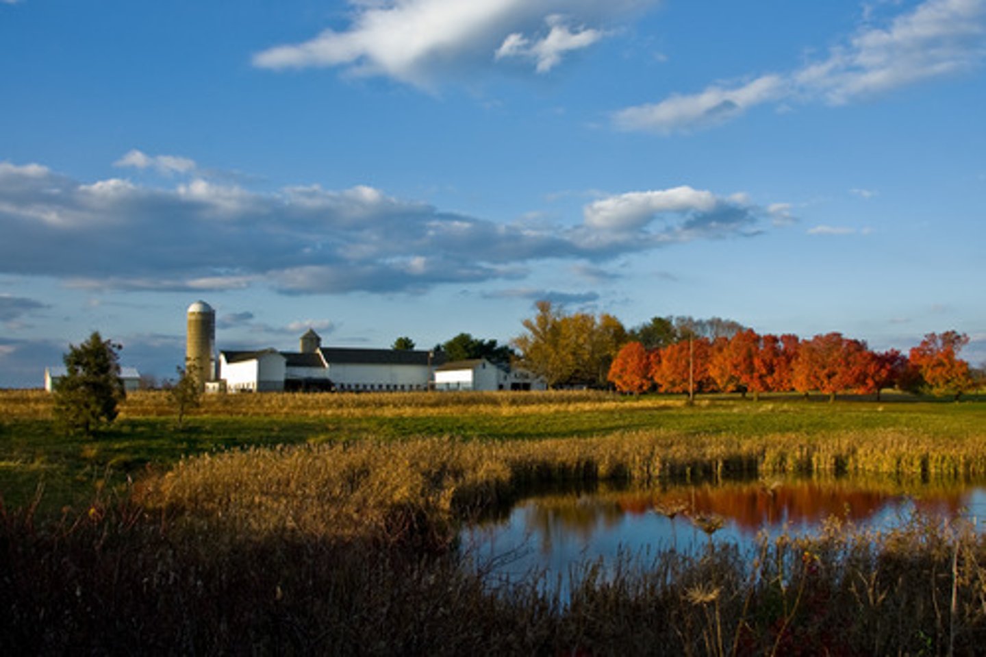 <p>Living in the countryside or outside the city</p>