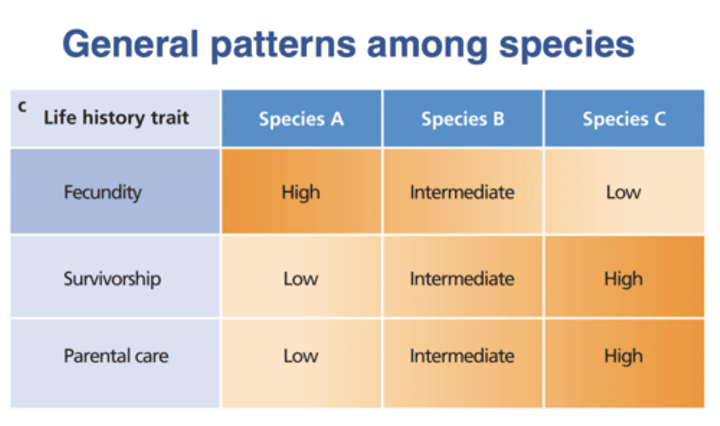 <p>1. variation in one trait = variation in another trait ("slow-fast continuum")<br>2. life history varies w/habitat/environment condition</p>
