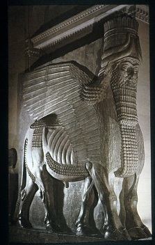 term image