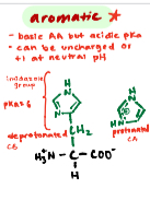 <p>A basic polar amino acid with an imidazole side chain.</p>