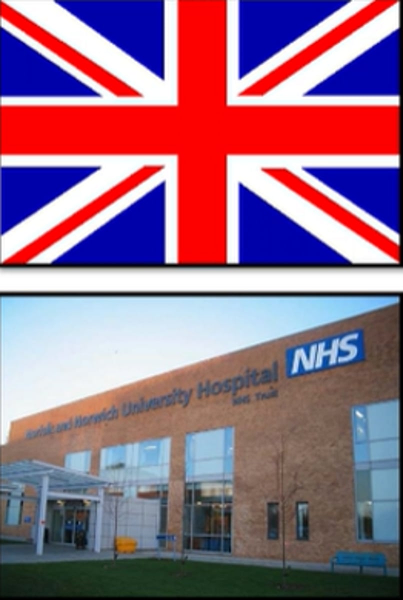 <p>UK's NHS</p>