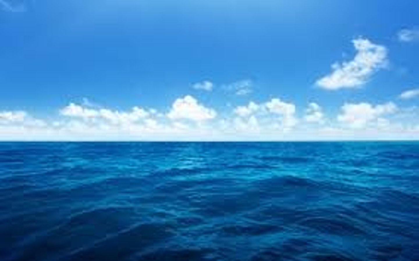 <p>sea</p>