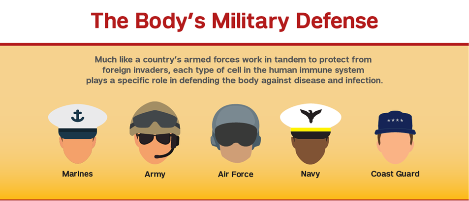 <ul><li><p>Specific defence processes = the immune responses 'specifically' designed to combat particular microorganisms</p></li><li><p><span>Specific Defences:</span></p><ul><li><p><span>In specific defences, the immune system forms a chemical "memory" of the invading pathogen</span></p></li><li><p><span>If the pathogen is encountered again, the body reacts so quickly that few or no symptoms are felt</span></p></li><li><p><span>Specific defences are those that give us immunity to certain diseases</span></p></li></ul></li></ul><p></p>