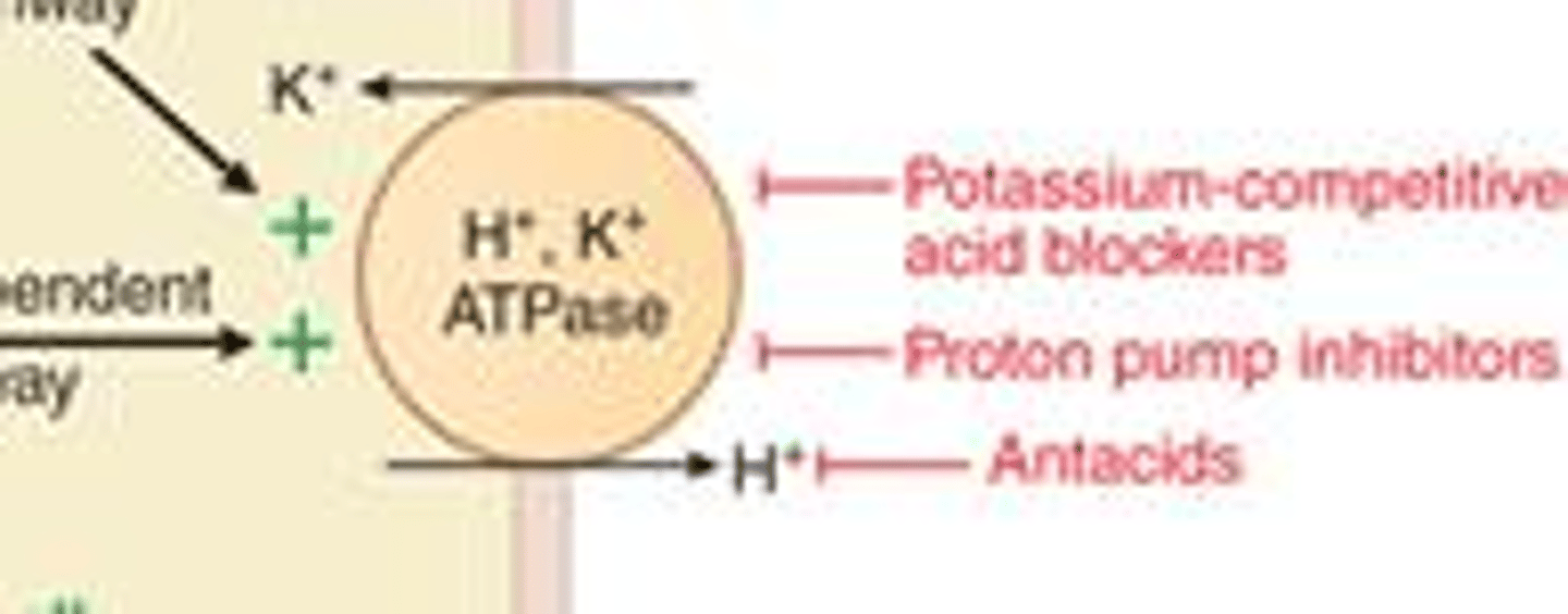 <p>Irreversibly inhibit (H+/K+)-ATPase pumps, decreasing gastric acid secretion. They are prodrugs that require acid to activate them.</p>