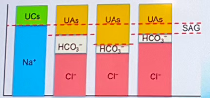 <p>Which of the columns indicates normal pH? (labeled A-D left to right)</p>