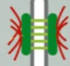 <p>Which cell junction type is depicted?</p>