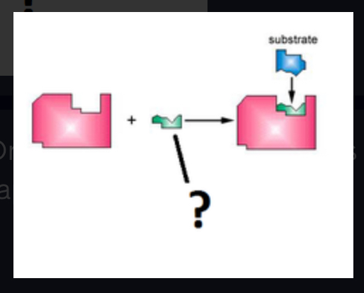 <p>Non-protein Organic helpers like vitamins that bind to enzymes to help them assume the correct shape. (Ex. Vitamin A)</p>