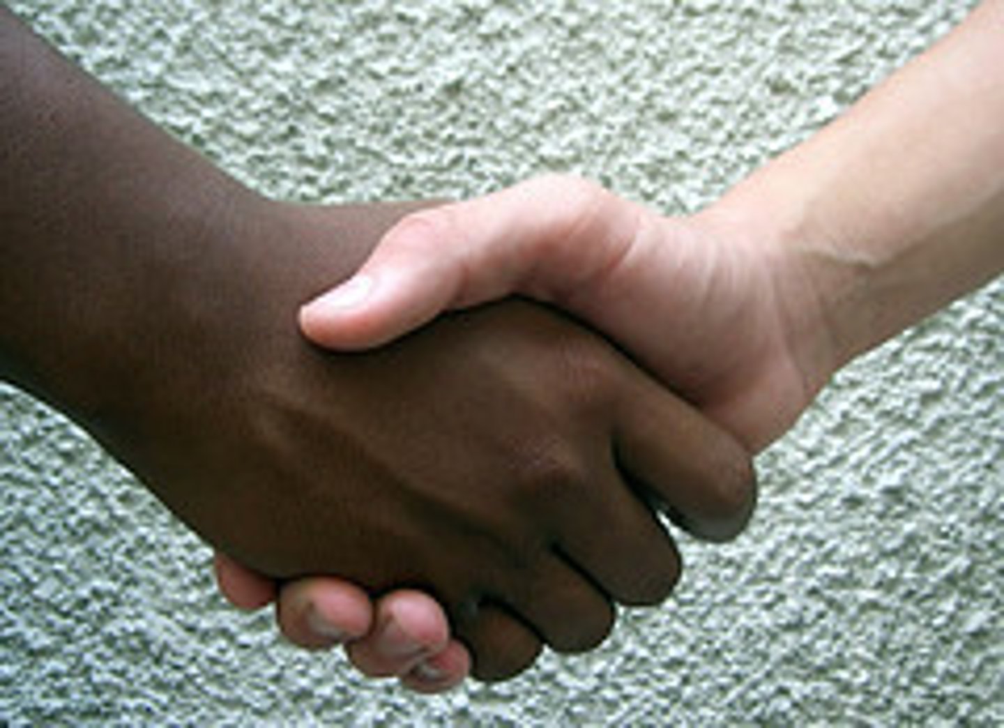 <p>(v) to trust or depend on someone or something to do what you need or expect them to do /</p><p>Example: Many working women _______ ___ relatives to help take care of their children.</p>