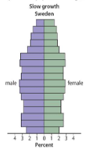 <p>a stable population. roughly the same proportion of people in each stage of development, with the number of births roughly equal to the number of deaths.</p>