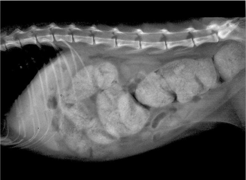 <p>What is this showing?</p>