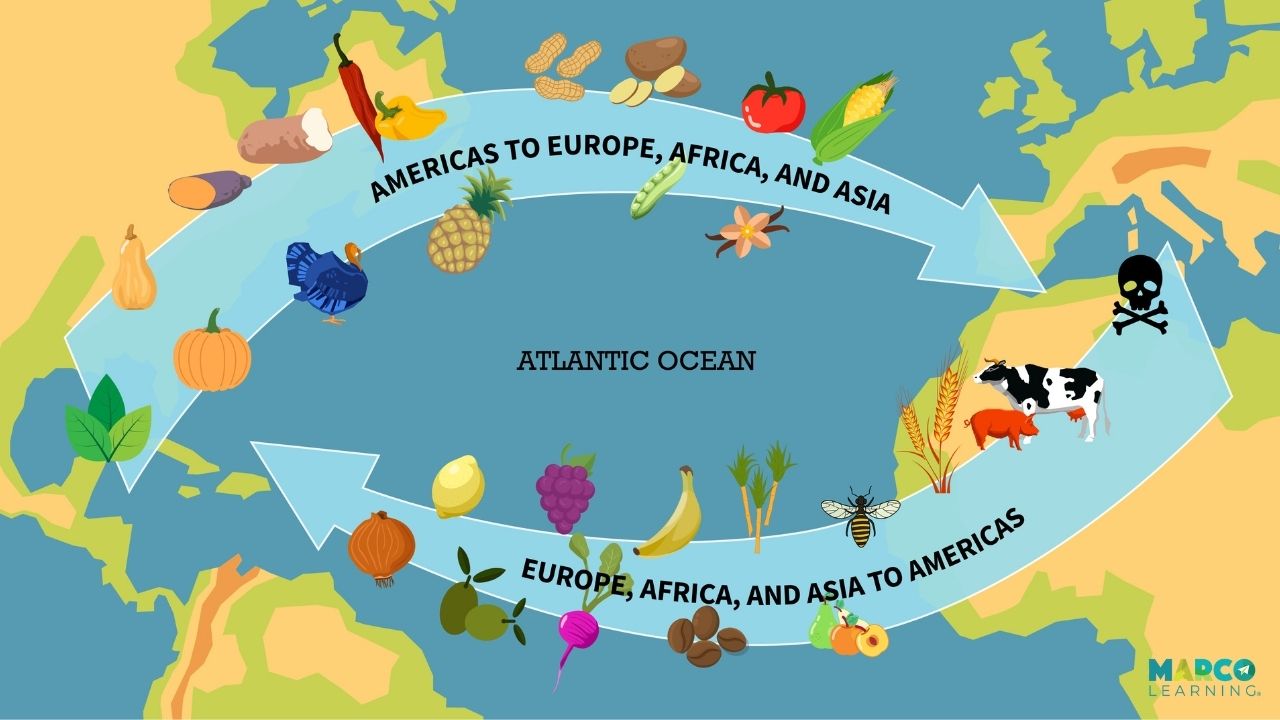 <p><span style="color: #ddde7e">Columbian exchange</span></p>