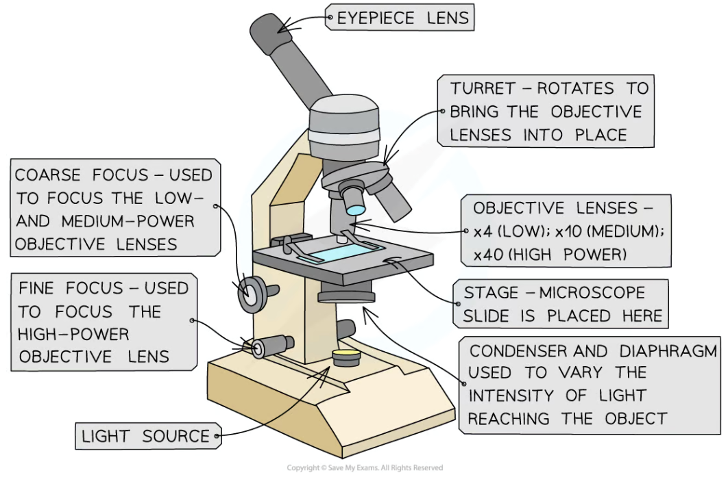 microscope for practical 